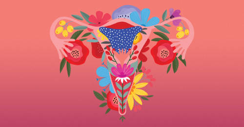 ciclo menstrual invierno verano ciclo menstrual invierno verano