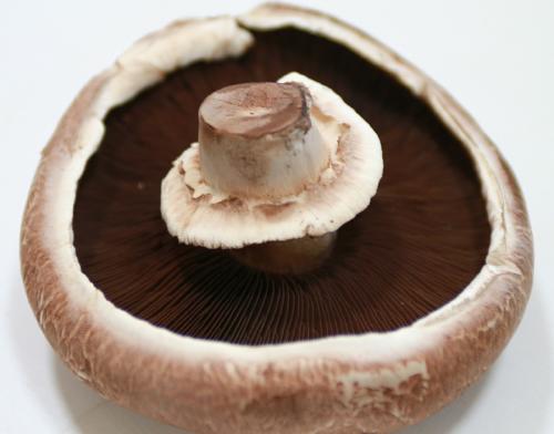 Portobello: propiedades y beneficios de un superalimento