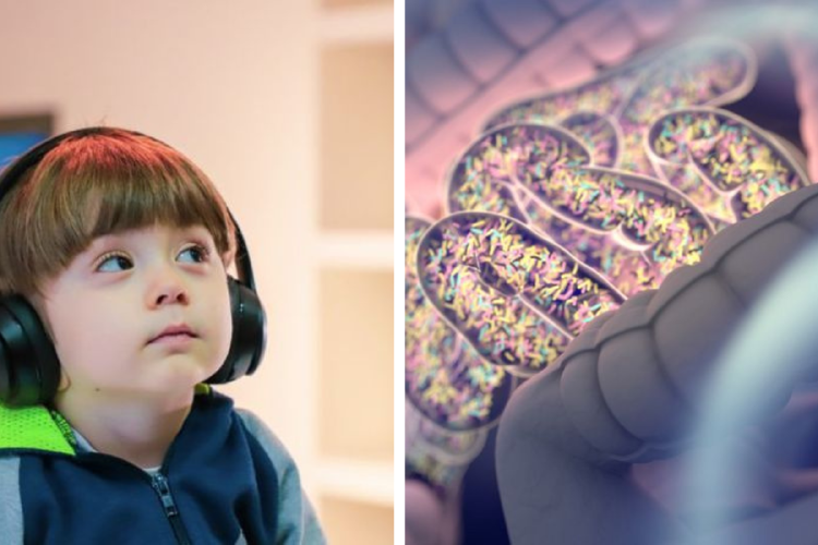 autismo microbiota La relación entre el autismo y la microbiota intestinal es objeto de estudio creciente, pero las conclusiones aún son inciertas. (Pinterest)