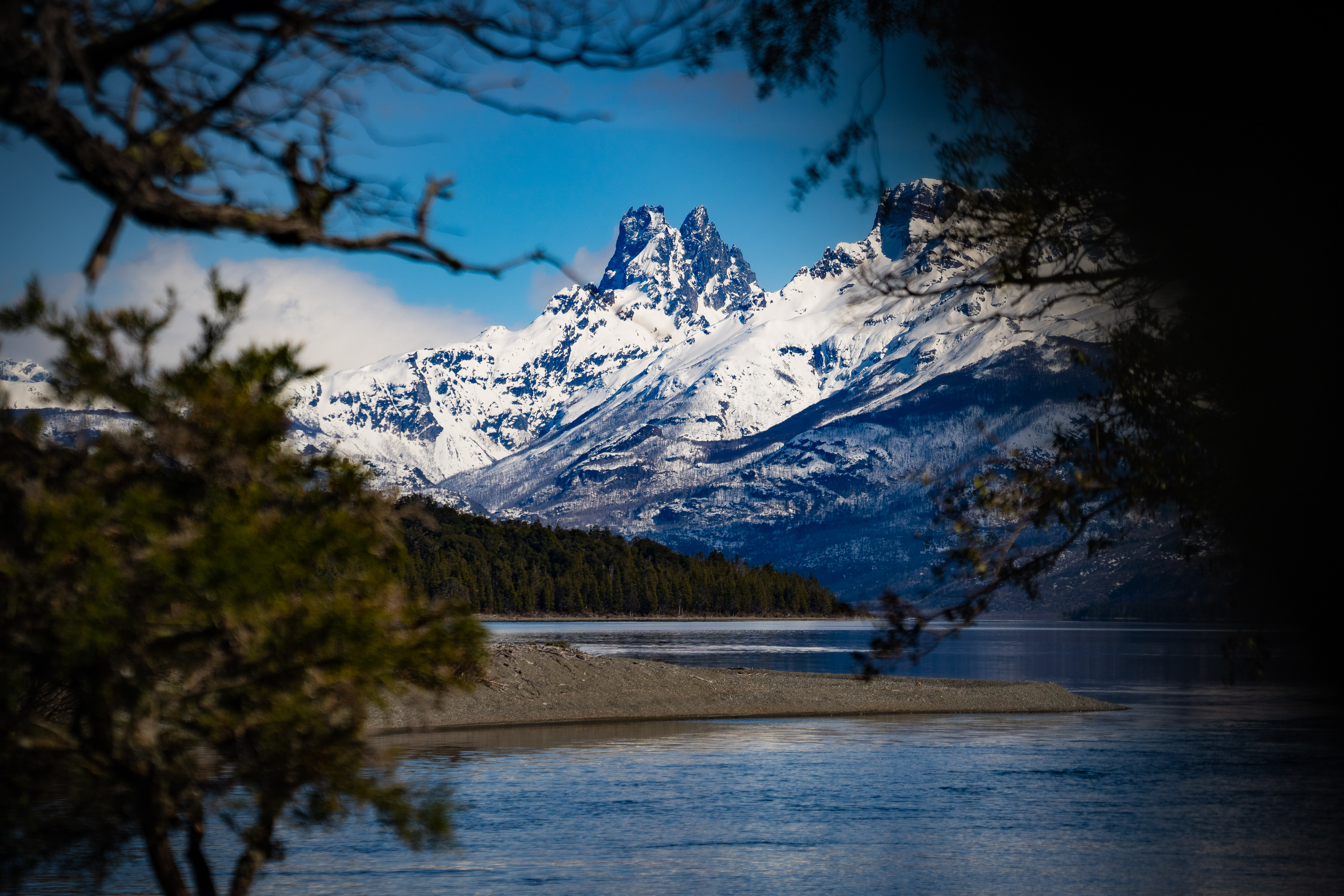 Bosque Patagonico Bosque_patagonia