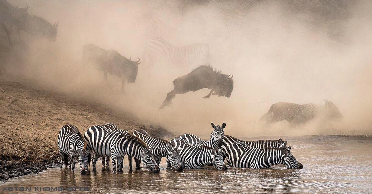 fotos concurso national geographic fotos concurso national geographic