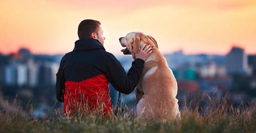 Estos son los 11 beneficios del amor incondicional según Buda