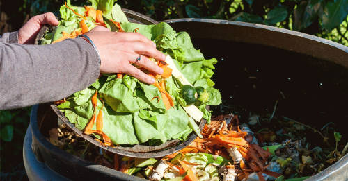 Zero waste: ¿podemos llevar una alimentación libre de desperdicios?