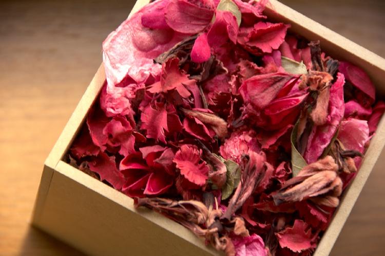 Oler bien 4 Casa huela bien