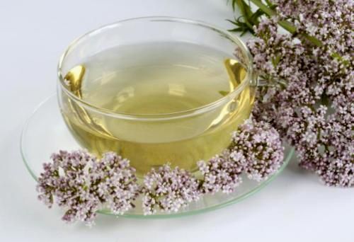 Infusi C3 B3n de valeriana.jpg Infusi C3 B3n de valeriana.jpg