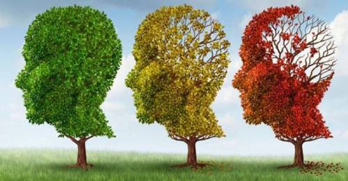 Test de 5 minutos muestra las primeras señales de Alzheimer