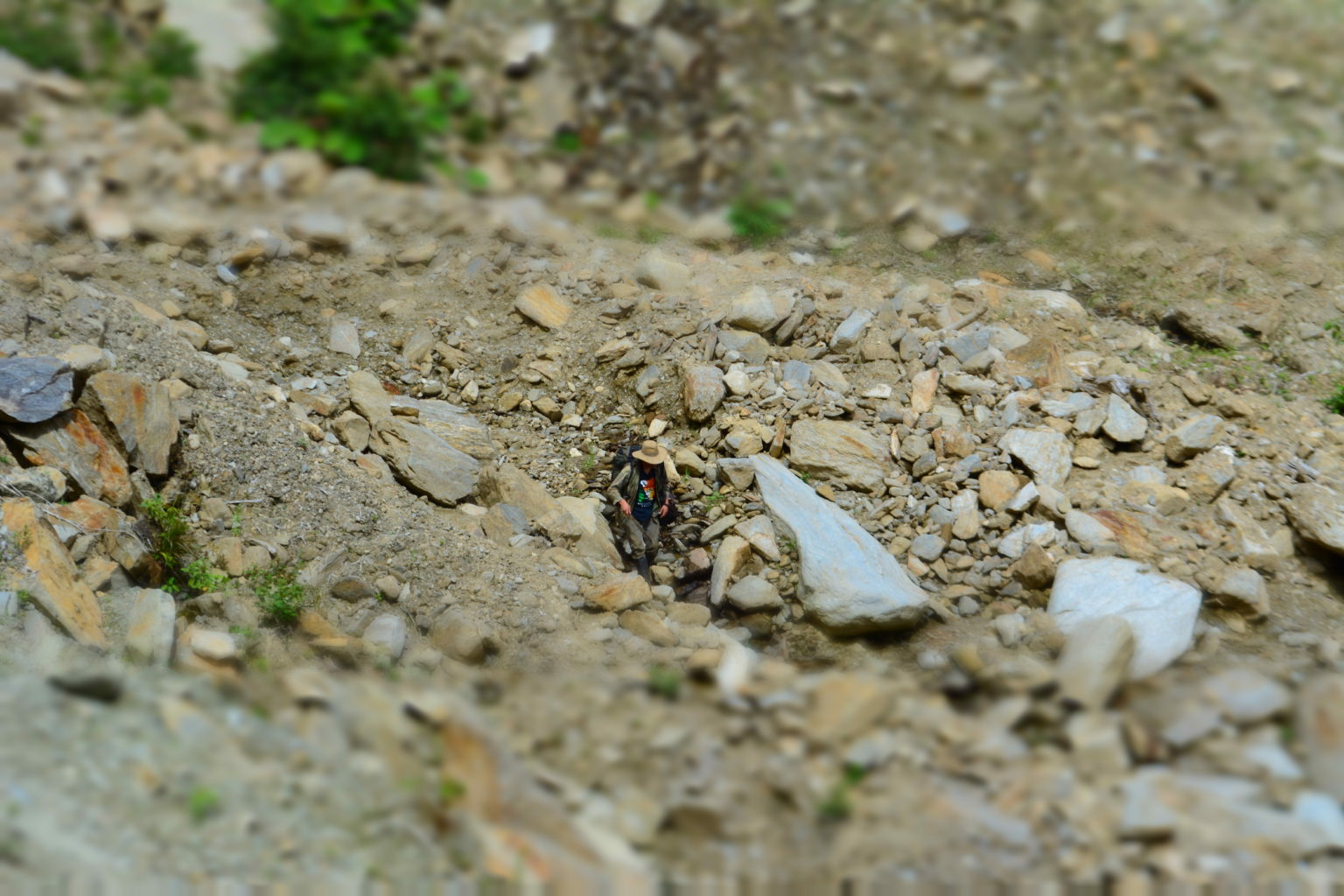 Salida de campo en la reserva Vizcaya Salida de campo en la reserva Vizcaya