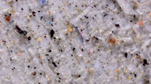 microplasticos los microplásticos están cayendo del cielo. (Foto: ecologiagroup.com)