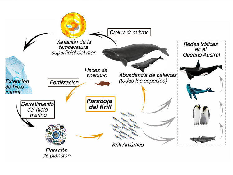 Infografia-2x Infografia-2x