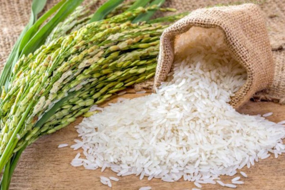 Diseño sin título 2024 10 21T212037.188 Diseño sin título 2024 10 21T212037.188