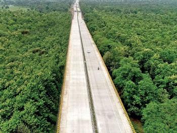 india-autopista-tigres