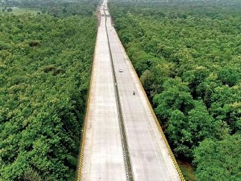 india autopista tigres