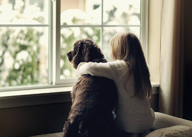 niña perro ventana cuarentena