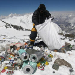 site2 8 300x300 site2 8 300x300