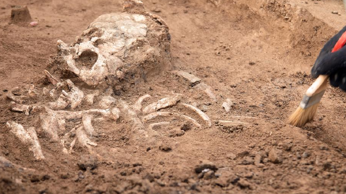 68731740_1004 68731740_1004