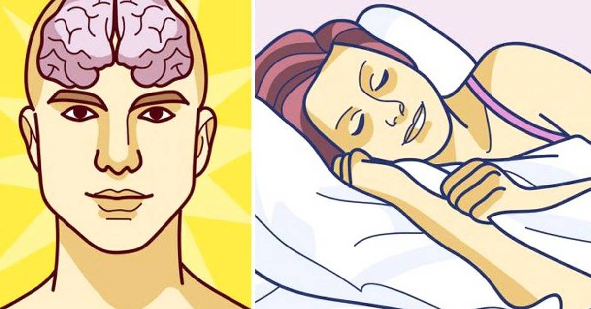 12 Cosas que le ocurren a nuestro cuerpo cuando empezamos a dormir más por la noche