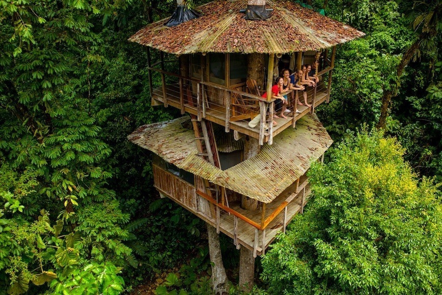 Una casa del árbol que es hotel y santuario natural | Bioguia