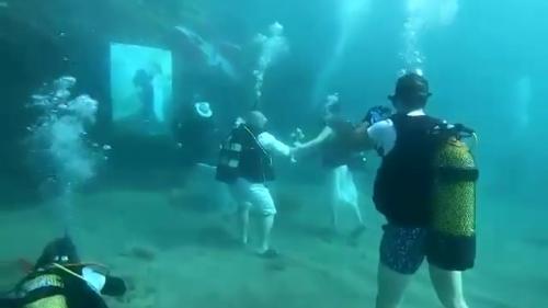 Viral boda Viral boda