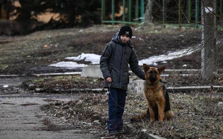 Mascotas Ucrania Mascotas Ucrania