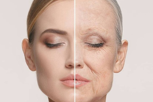 envejecer Identificar estos momentos de aceleración del envejecimiento puede revolucionar la medicina preventiva. (Pinterest)