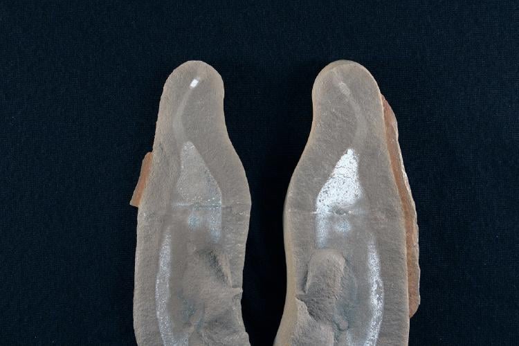 Monstruo de Tully Monstruo de Tully