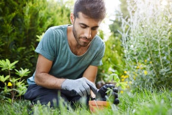 close up portrait of beautiful bearded hispanic male gardener concentrated planting sprout in flower pot with garden tools enjoying moments of silence