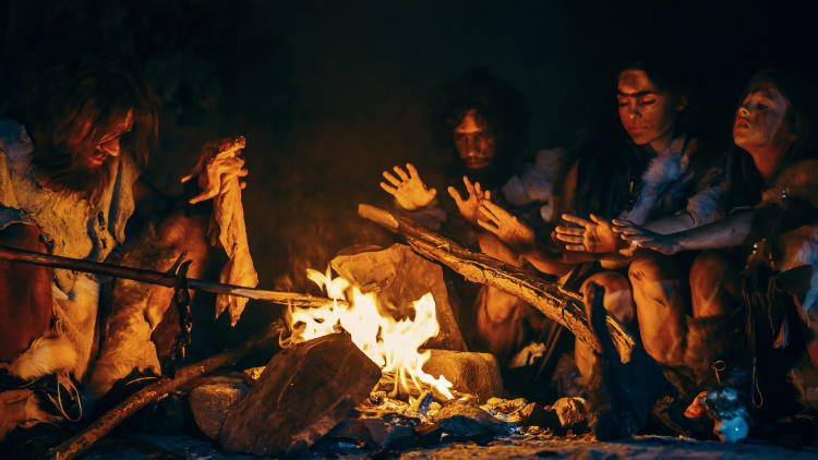 AdobeStock_311315013 AdobeStock_311315013