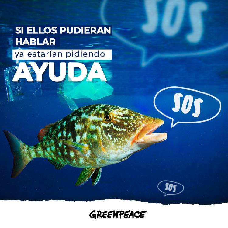Peces GPMX Peces GPMX