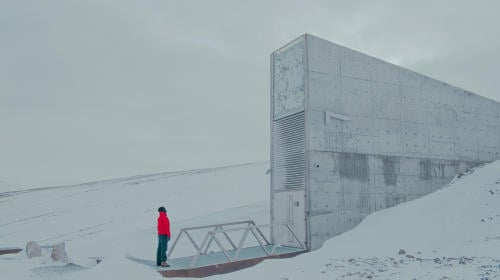 Bóveda de semillas en el Ártico: un patrimonio de la humanidad