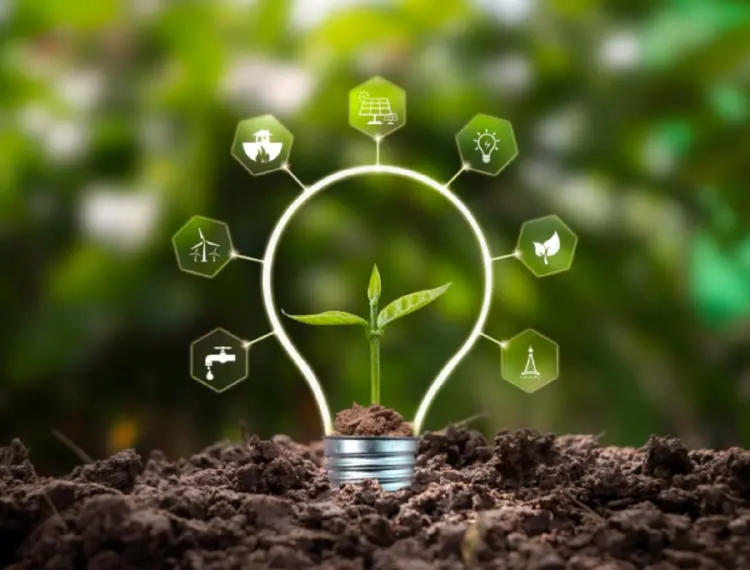 electro cuñtura electro cuñtura