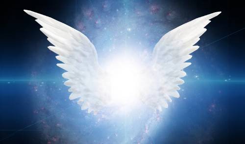 alas angel alas angel