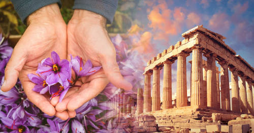 5 superalimentos antiguos que todavía son populares en Grecia