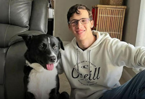 border collie border collie