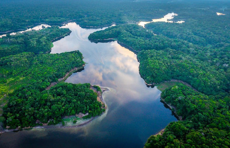 Amazonia Amazonia