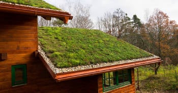 techo verde como hacerlo en casa