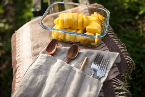 vianda sustentable vianda sustentable