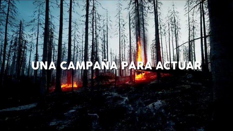 img infobae 1 img infobae 1