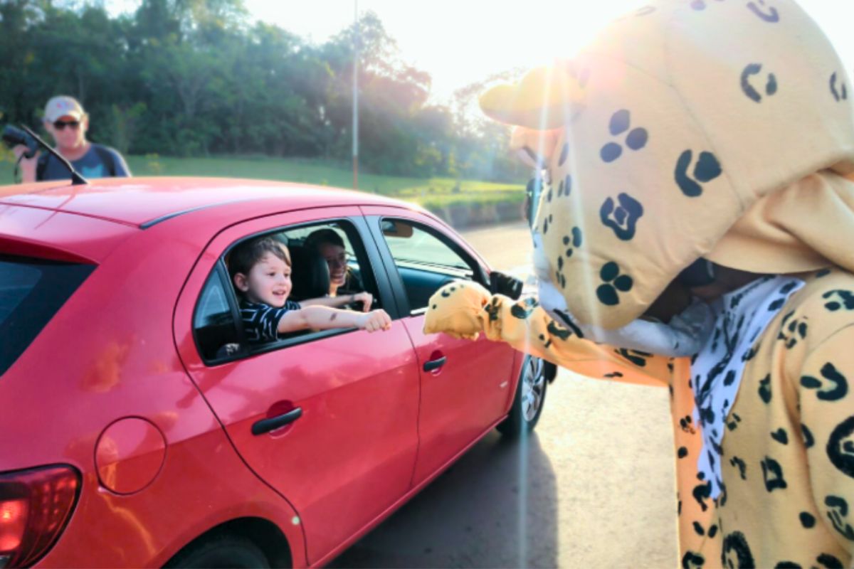 Diseño sin título 2024 11 08T082901.960 Evitar las muertes por atropellamiento es una de las principales acciones de trabajo para el Ministerio de Ecología de Misiones.