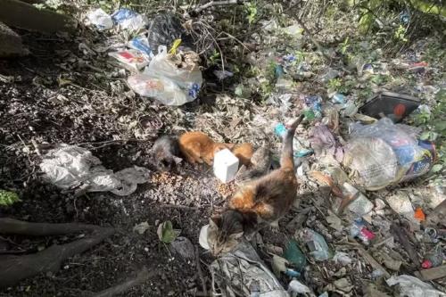 ATAMTYP6VNAYFPJWUNRW4JDJPI ATAMTYP6VNAYFPJWUNRW4JDJPI