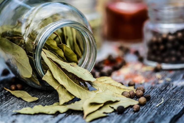 Hojas de laurel dentro de un frasco de vidrio