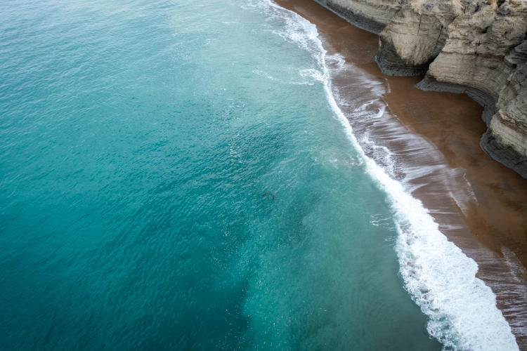 Foto de Joel Reyero Bosques de macroalgas del Parque Nacional Monte León, Santa Cruz Foto de Joel Reyero Bosques de macroalgas del Parque Nacional Monte León, Santa Cruz