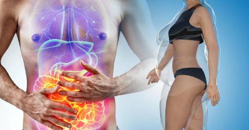 Cómo influyen las bacterias de tus intestinos en tu peso
