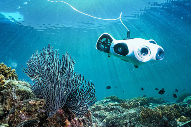 IA marino El uso de robots submarinos con IA no solo mejora la eficiencia en la protección de los arrecifes de coral, sino que también genera una gran cantidad de datos que ayudan a comprender mejor estos ecosistemas. (Imagen: shopsource.singoo.cc)