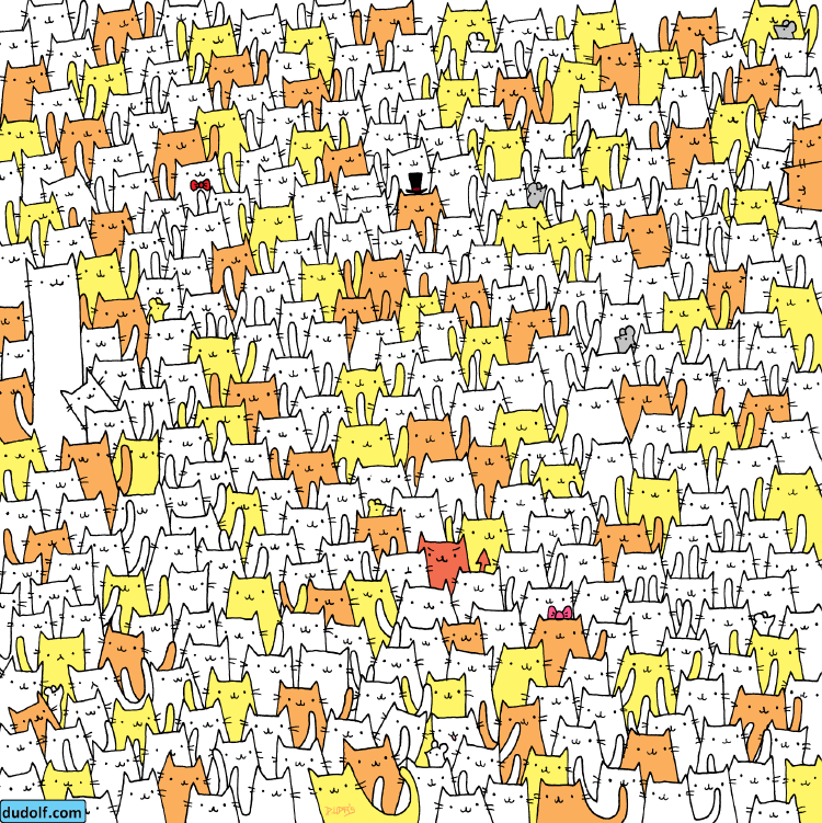 Reto visual Reto visual