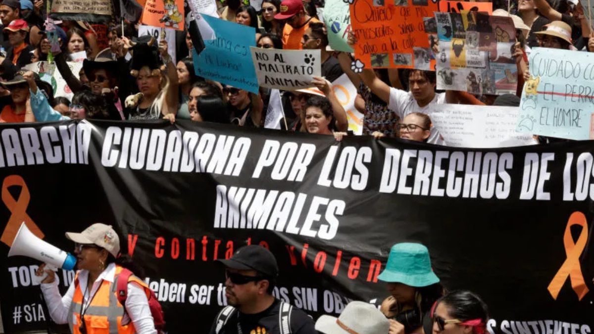 Personas particiapan en la Marcha Ciudadana por los Derechos de los animales. (Foto: GettyImages)