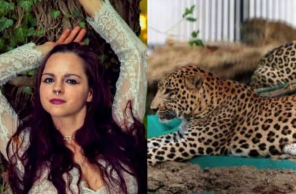 Leopardo ataca a una modelo durante una sesión de fotos