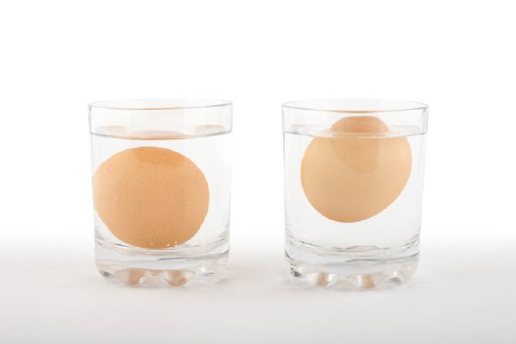 huevos vaso agua huevos en vasos con agua