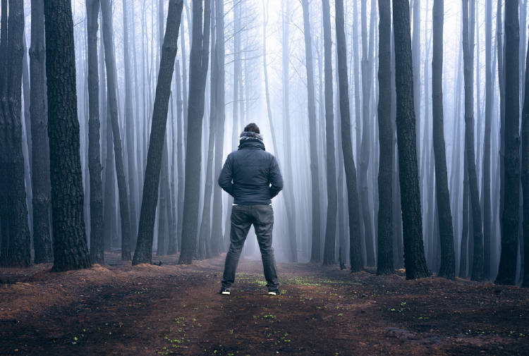 Hombre en un bosque