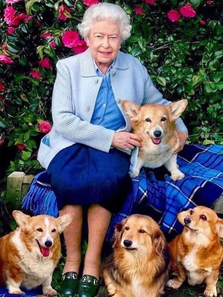 corgis isabel II2 corgis isabel II2