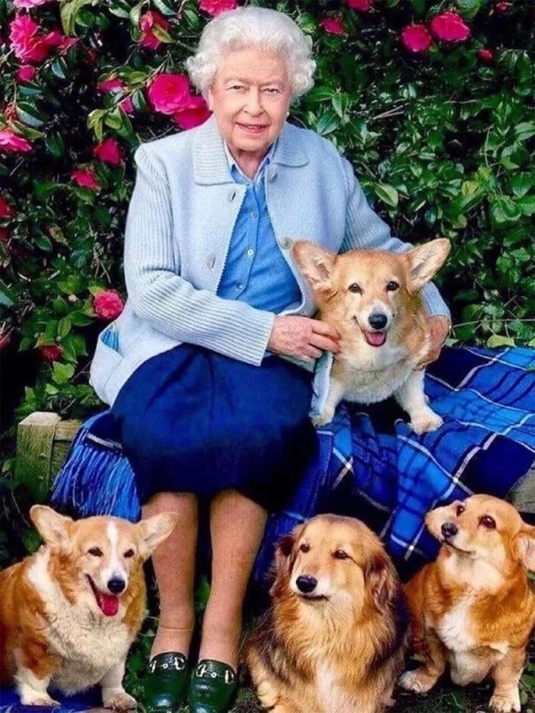 corgis isabel II2